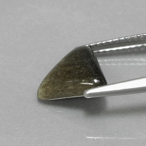 سبج أو أوبسيديان ذهب الشين طبيعي، مثلثى، 1.67 قيراط، غير شفاف