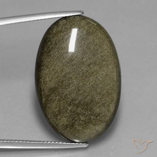 24.53ct طبيعي أسود مع لمعان ذهبي سبج أو أوبسيديان, بيضوي, غير شفاف