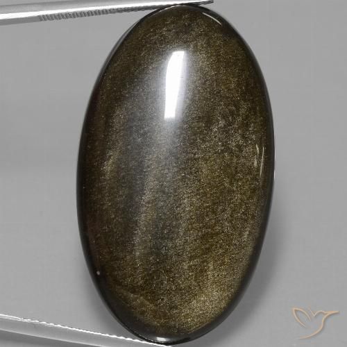 51.67ct طبيعي أسود مع لمعان ذهبي سبج أو أوبسيديان, بيضوي, غير شفاف