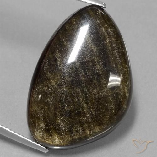 24.42ct طبيعي أسود بنى سبج أو أوبسيديان, فانسى, غير شفاف