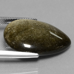 سبج أو أوبسيديان ذهب الشين طبيعي، شكل الكمثرى، 13.81 قيراط، غير شفاف