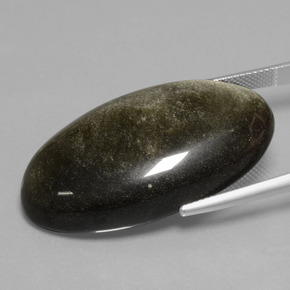 سبج أو أوبسيديان ذهب الشين طبيعي، قصة بيضاوى، 41.23 قيراط، غير شفاف