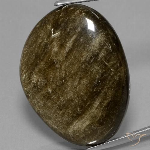 30.42ct طبيعي أسود مع لمعان ذهبي سبج أو أوبسيديان, فانسى, غير شفاف