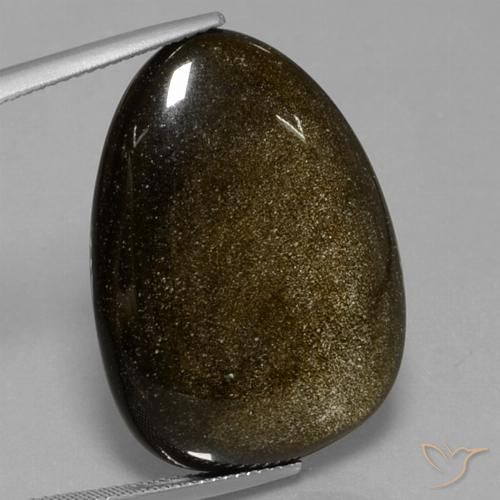 29.28ct طبيعي أسود مع لمعان ذهبي سبج أو أوبسيديان, فانسى, غير شفاف