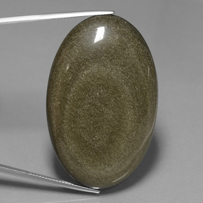 سبج أو أوبسيديان لمعان ذهبى أسود طبيعي، قصة بيضاوى، 71.91 قيراط، غير شفاف