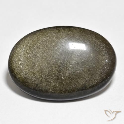 25.40ct طبيعي أسود مع لمعان ذهبي سبج أو أوبسيديان, بيضوي, غير شفاف