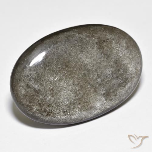 24.72ct طبيعي رمادى متوسط سبج أو أوبسيديان, بيضوي, غير شفاف
