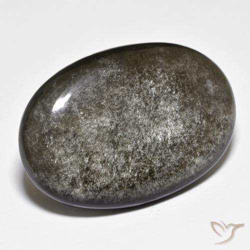 27.47ct طبيعي رمادى داكن-متوسط سبج أو أوبسيديان, بيضوي, غير شفاف