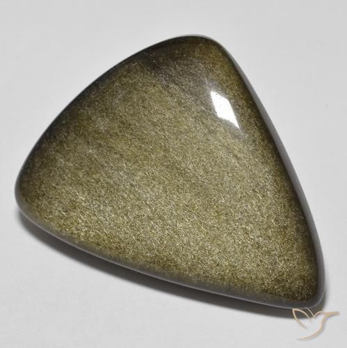 24.46ct طبيعي أسود مع لمعان ذهبي سبج أو أوبسيديان, فانسى, غير شفاف