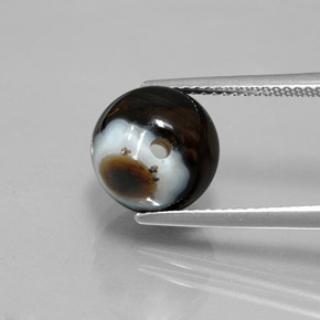 أونيكس أسود طبيعي، كرة / كروي، 6.99 قيراط، غير شفاف