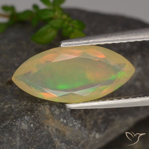 1.35ct طبيعي متعدد الألوان أوبال, ماركيز, شفاف
