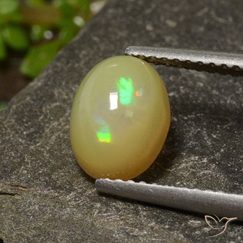 1.37ct طبيعي متعدد الألوان أوبال, بيضوي, نصف شفاف, Photo A