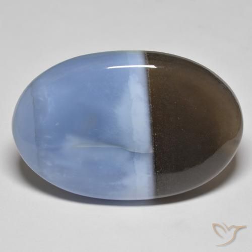 51.46ct طبيعي متعدد الألوان أوبال, بيضوي, غير شفاف