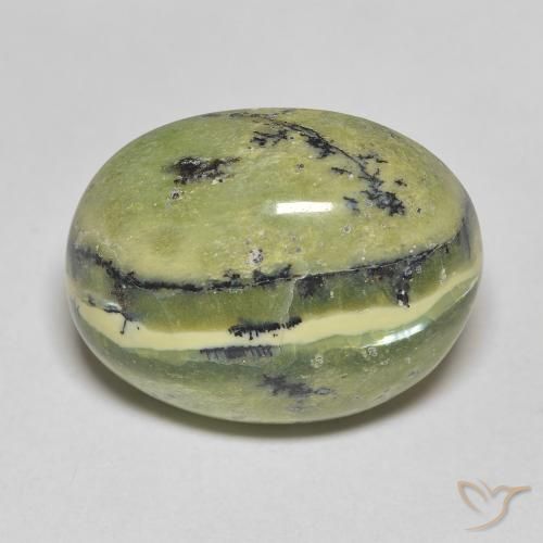 11.81ct طبيعي أخضر ترابى أوبال, بيضوي, غير شفاف
