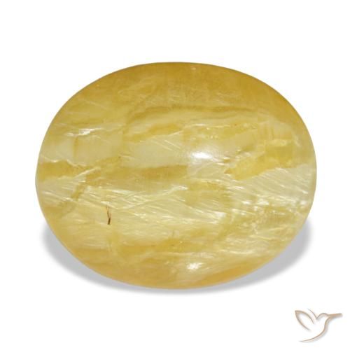 5.56ct أصفر أوبال, بيضاوي, غير شفاف