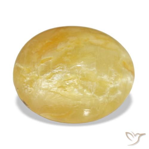 7.90ct أصفر أوبال, بيضاوي, غير شفاف