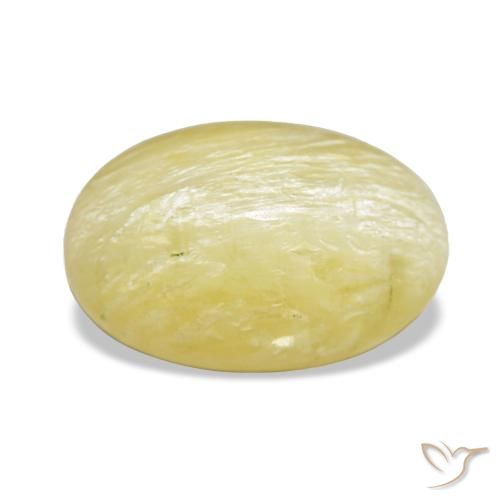 2.89ct أصفر أوبال, بيضاوي, غير شفاف