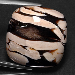 خشب فول السودانى متعدد الألوان طبيعي، قطع وسادة، 25.88 قيراط، غير شفاف