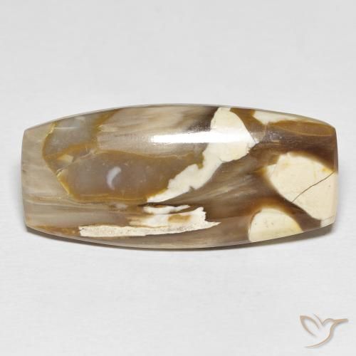 31.21ct طبيعي متعدد الألوان خشب فول السودانى, وسادة, غير شفاف