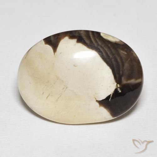 19.54ct طبيعي متعدد الألوان خشب فول السودانى, بيضوي, غير شفاف