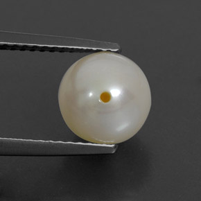 لؤلؤة لون كريمى طبيعي، جسم كروى / الكرة، 3.82 قيراط، غير شفاف