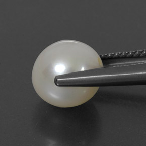 لؤلؤة لون كريمى طبيعي، جسم كروى / الكرة، 3.82 قيراط، غير شفاف
