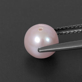 لؤلؤة وردى فضى طبيعي، جسم كروى / الكرة، 2.61 قيراط، غير شفاف