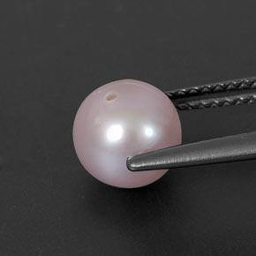 لؤلؤة وردى فضى طبيعي، جسم كروى / الكرة، 2.64 قيراط، غير شفاف