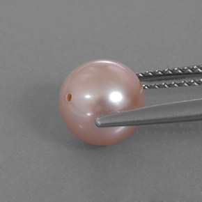 لؤلؤة وردى كريمى طبيعي، جسم كروى / الكرة، 2.85 قيراط، غير شفاف