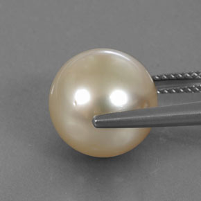 لؤلؤة ذهبى فاتح طبيعي، جسم كروى / الكرة، 11.57 قيراط، غير شفاف