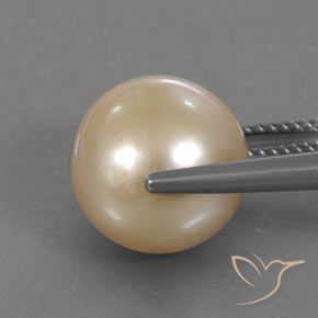 لؤلؤة برتقالي فاتح طبيعي، جسم كروى / الكرة، 12.62 قيراط، غير شفاف
