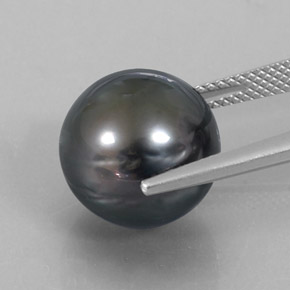 لؤلؤة فضى داكن طبيعي، جسم كروى / الكرة، 14.52 قيراط، غير شفاف