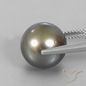 لؤلؤة رمادى داكن-متوسط طبيعي، جسم كروى / الكرة، 13.25 قيراط، غير شفاف
