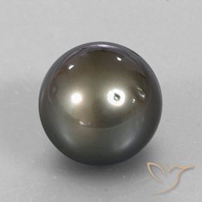 لؤلؤ فضى مصفر طبيعي، كرة / كروي، 13.72 قيراط، غير شفاف