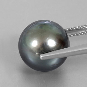 لؤلؤة رمادي غامق طبيعي، جسم كروى / الكرة، 12.55 قيراط، غير شفاف