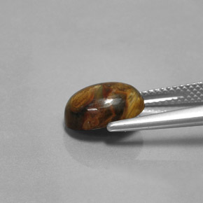 بيترسيت متعدد الألوان طبيعي، قصة بيضاوى، 2.99 قيراط، غير شفاف