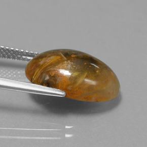 بيترسيت متعدد الألوان طبيعي، قصة بيضاوى، 6.69 قيراط، غير شفاف