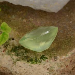 بريهنيت طبيعي بلون Pale Pear Green ، وزن ‎10.07‎ قيراط، شكل بيضاوى، مقاس ‎15.8x11.9‎ مم