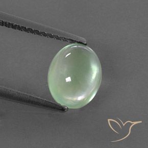 1.49ct طبيعي اخضر المريمية فاتح جدا بريهنيت, بيضوي, شفاف / نصف شفاف