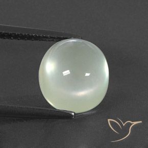 3.36ct طبيعي Warm Green  بريهنيت, بيضوي, شفاف / نصف شفاف