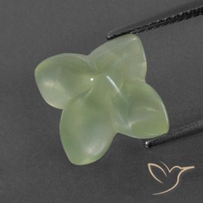 بريهنيت Pale Green  طبيعي، قص وردة، 6.89 قيراط، شفاف / نصف شفاف