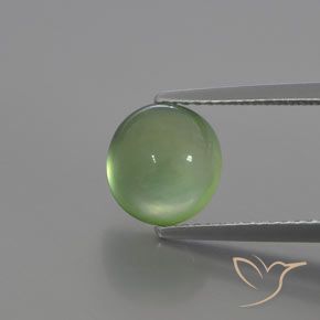3.24ct طبيعي أخضر مصفر بريهنيت, بيضوي, شفاف