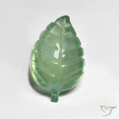 5.76ct طبيعي اخضر فاتح بريهنيت, فانسى, نصف شفاف