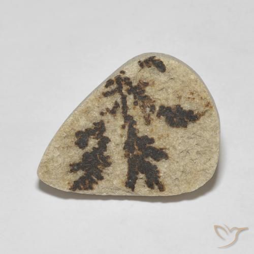 11.56ct طبيعي متعدد الألوان Psilomelane Dendrite, شكل الكمثرى, غير شفاف