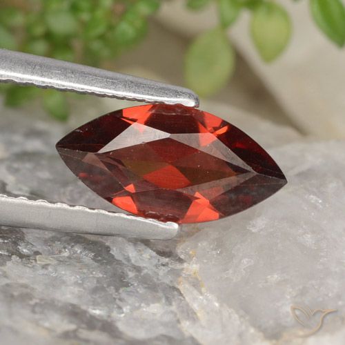 1.16ct طبيعي أحمر غامق عقيق بيروب, ماركيز, VVS-VS