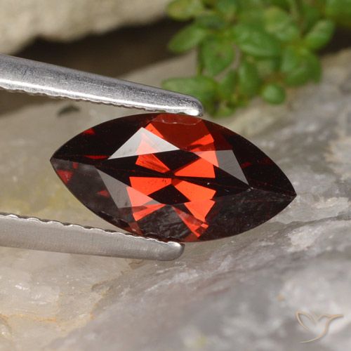1.28ct طبيعي أحمر متوسط عقيق بيروب, ماركيز, VVS-VS