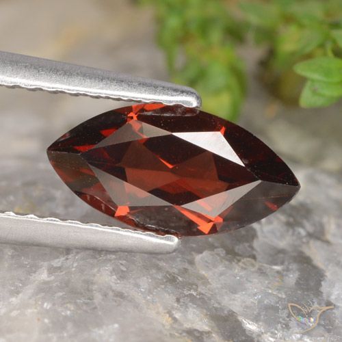 1.36ct طبيعي احمر غامق عقيق بيروب, ماركيز, VVS-VS