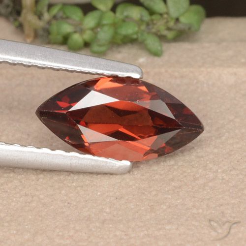 1.10ct طبيعي أحمر سانجريا عقيق بيروب, ماركيز, VVS-VS