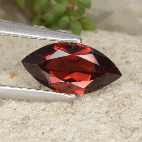 1.21ct طبيعي أحمر غامق عقيق بيروب, ماركيز, VVS-VS