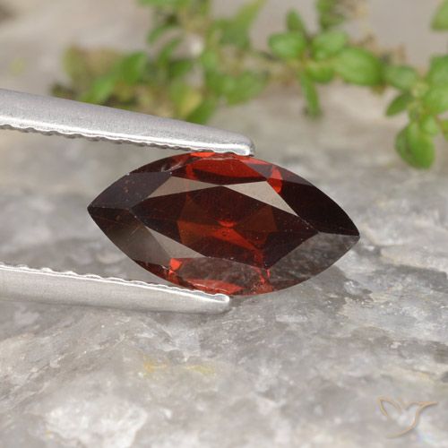1.31ct طبيعي احمر غامق عقيق بيروب, ماركيز, VVS-VS